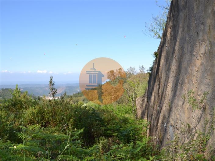 Image No.13-Plot for sale