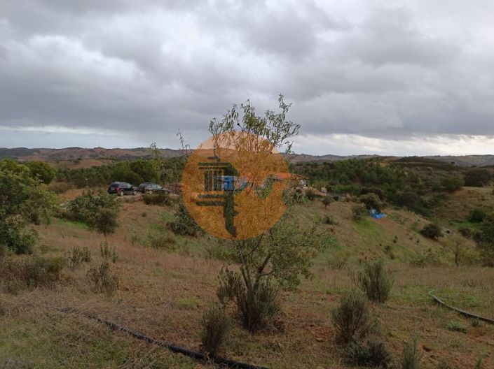 Image No.5-Plot for sale