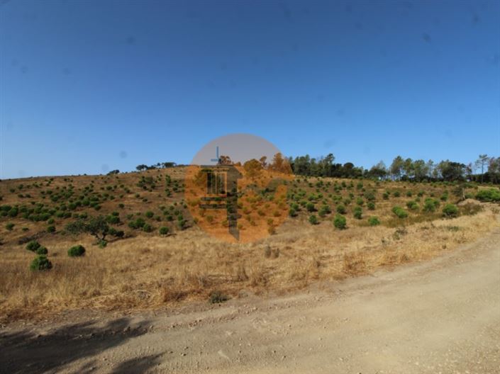 Image No.13-Plot for sale