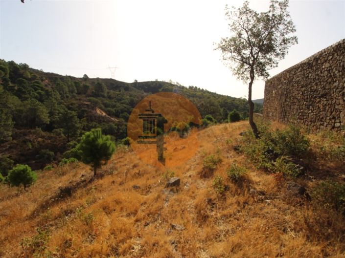 Image No.7-Plot for sale