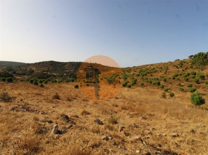 Image No.4-Plot for sale