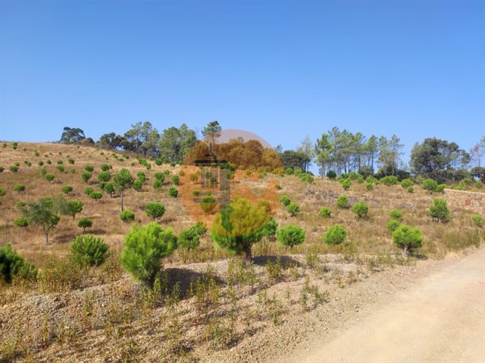 Image No.8-Plot for sale