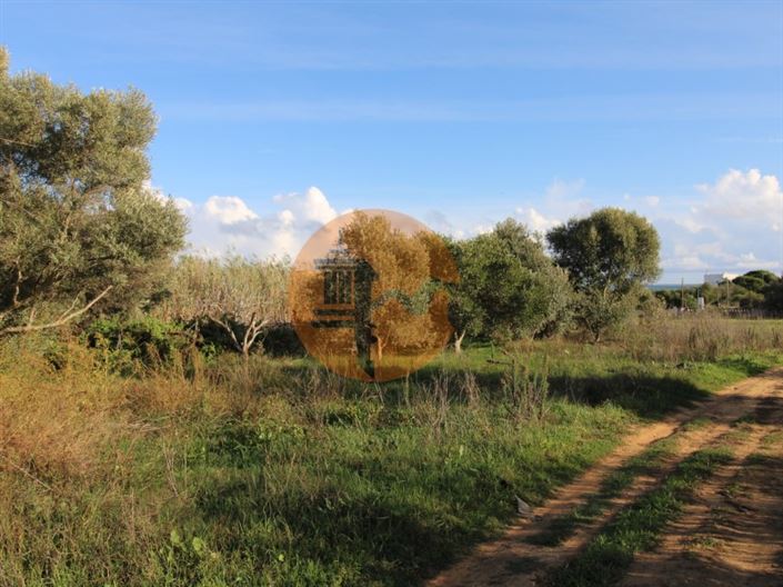 Image No.27-Plot for sale