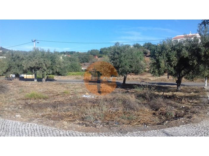 Image No.14-Terrain à vendre à Faro City
