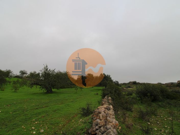 Image No.17-Plot for sale