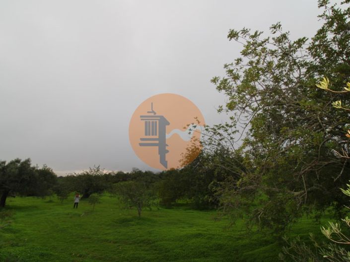 Image No.21-Plot for sale