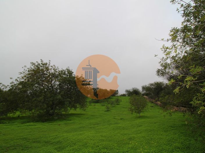 Image No.5-Plot for sale