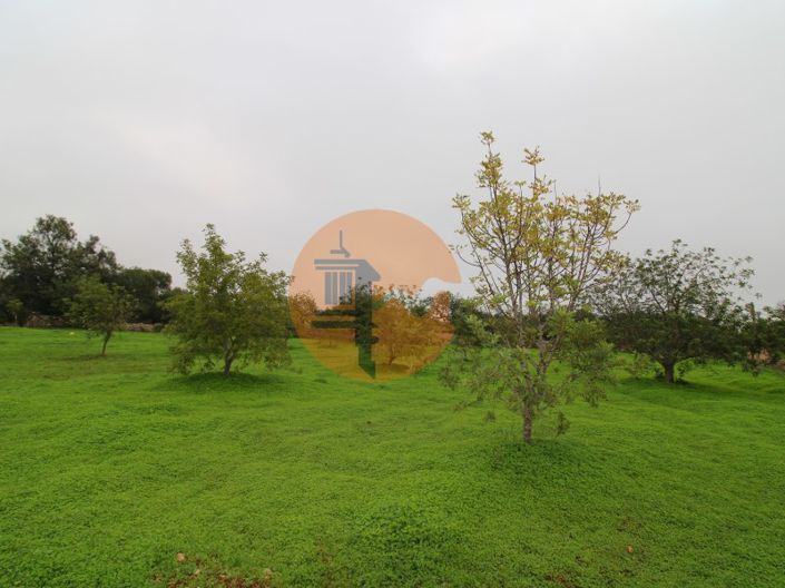 Image No.6-Plot for sale