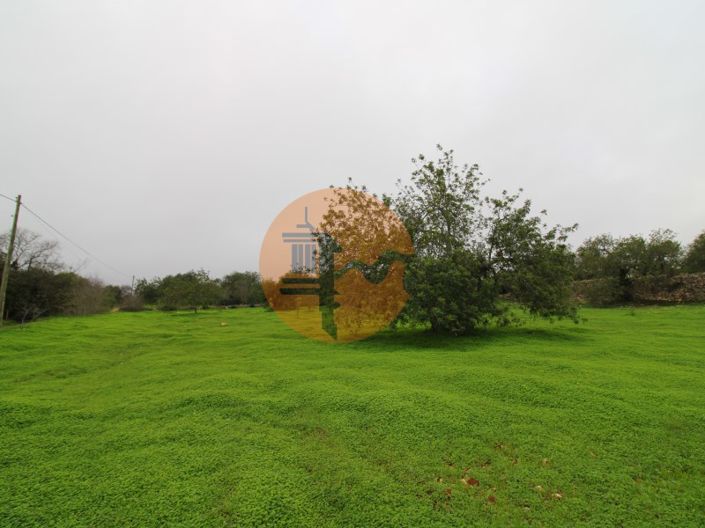 Image No.7-Plot for sale