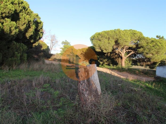 Image No.7-Plot for sale