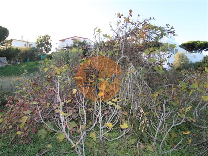 Image No.8-Plot for sale