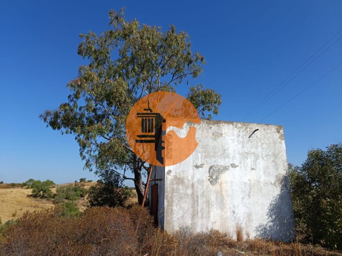 Image No.4-Plot for sale