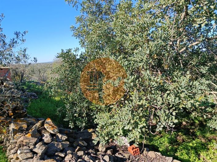 Image No.24-1 Bed House for sale