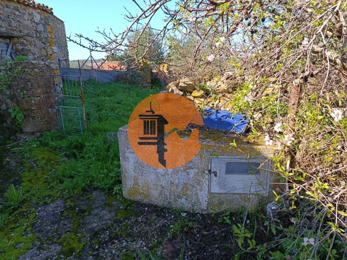 Image No.3-1 Bed House for sale