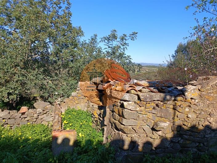 Image No.31-1 Bed House for sale