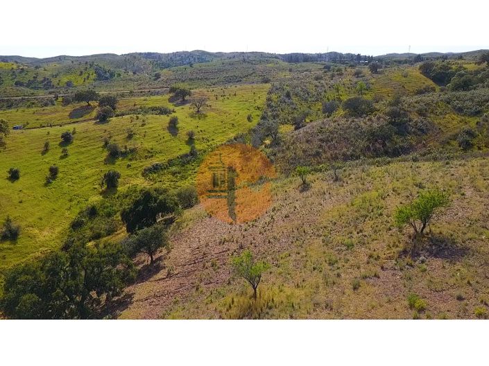 Image No.5-Plot for sale