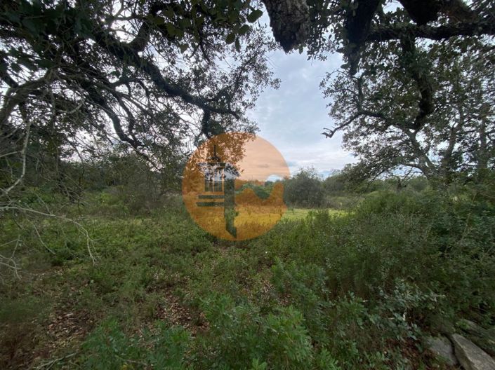 Image No.2-Terrain à vendre à Faro City