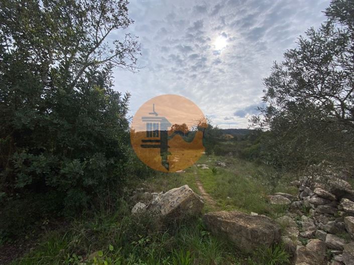 Image No.6-Terrain à vendre à Faro City