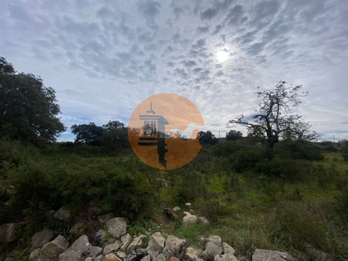 Image No.7-Terrain à vendre à Faro City