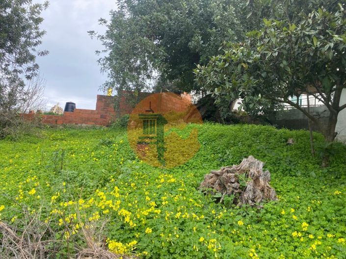 Image No.3-Terrain à vendre à Sao Bras de Alportel