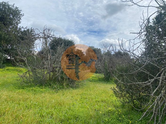 Image No.5-Terrain à vendre à Sao Bras de Alportel