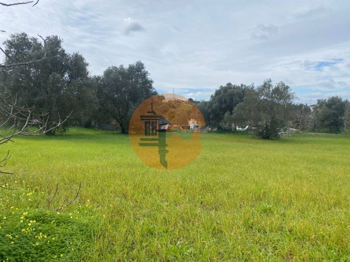 Image No.8-Terrain à vendre à Sao Bras de Alportel