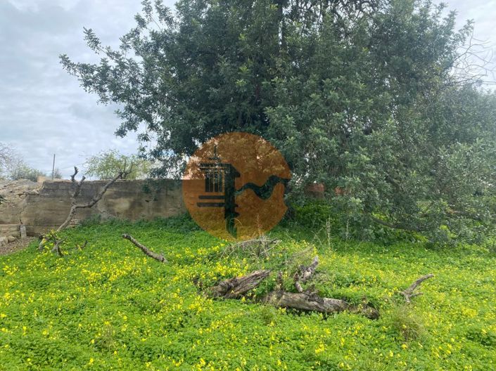 Image No.9-Terrain à vendre à Sao Bras de Alportel