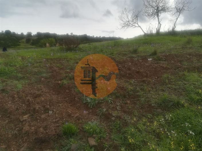 Image No.14-Terrain à vendre à Castro Marim