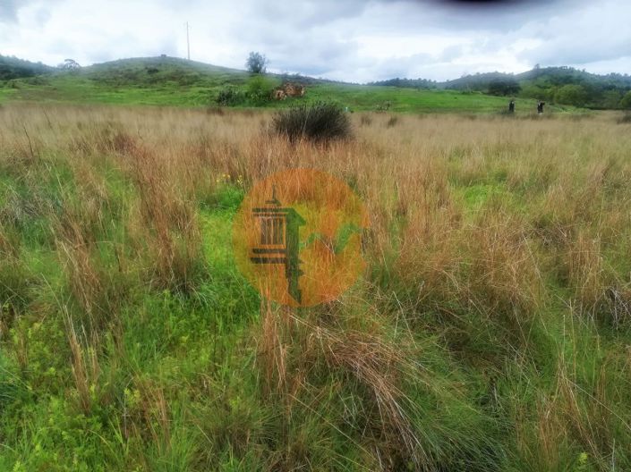 Image No.31-Terrain à vendre à Castro Marim