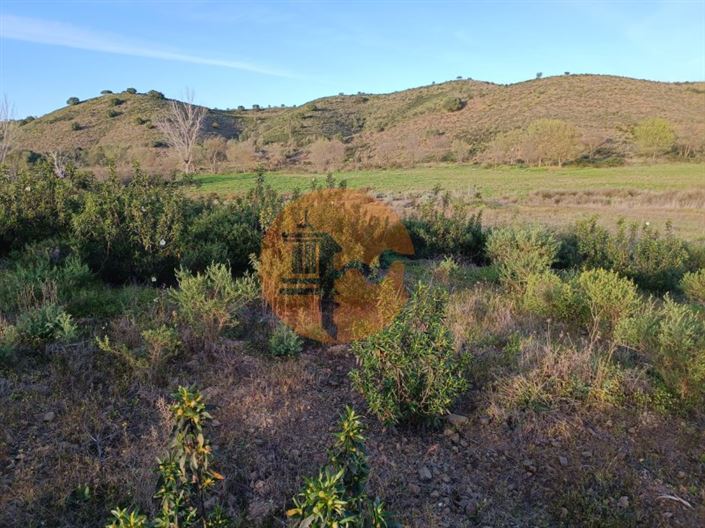 Image No.45-Terrain à vendre à Castro Marim
