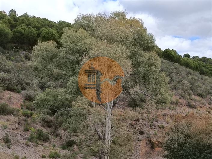 Image No.15-Terrain à vendre à Castro Marim