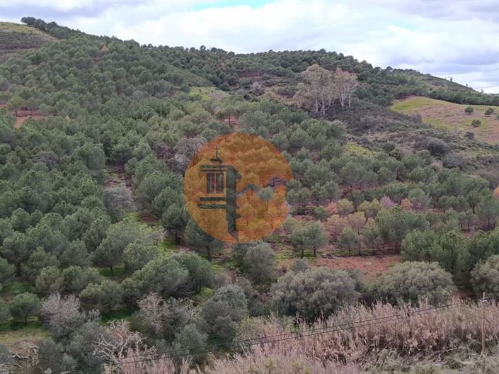 Image No.18-Terrain à vendre à Castro Marim