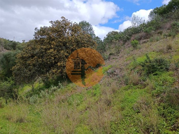 Image No.19-Terrain à vendre à Castro Marim