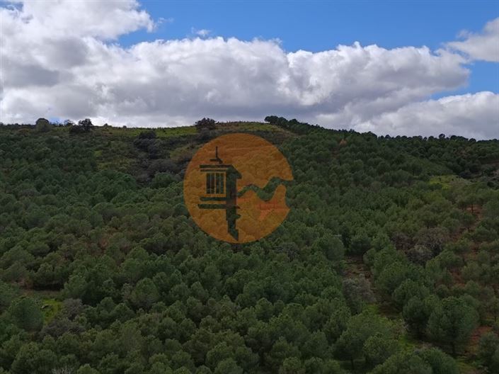 Image No.22-Terrain à vendre à Castro Marim