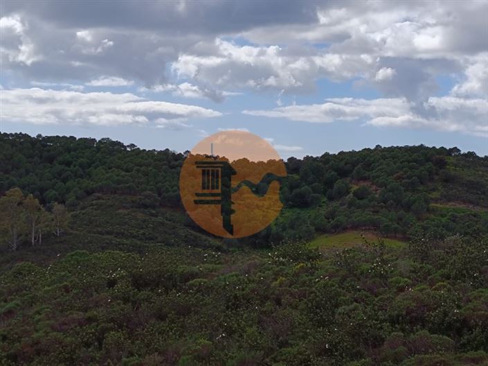 Image No.29-Terrain à vendre à Castro Marim