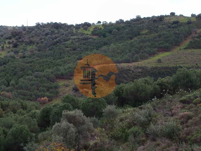 Image No.30-Terrain à vendre à Castro Marim