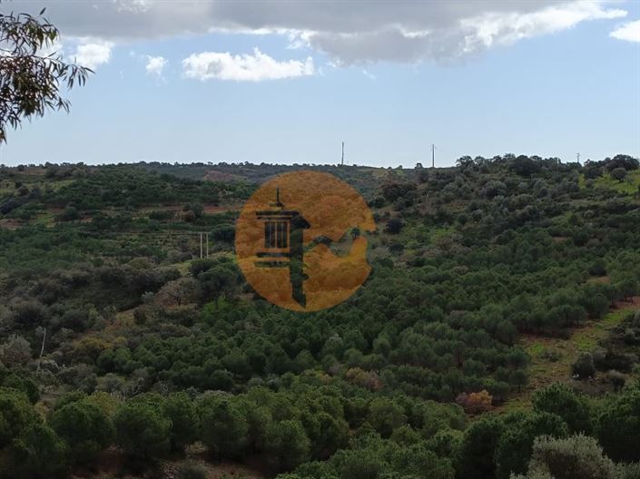 Image No.34-Terrain à vendre à Castro Marim