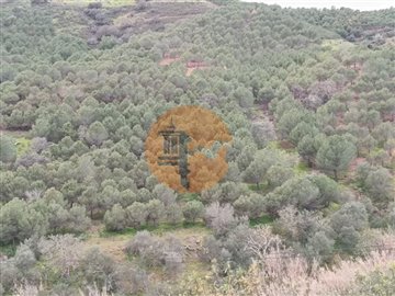 id81336501-0000-0500-0000-000010fe04e3