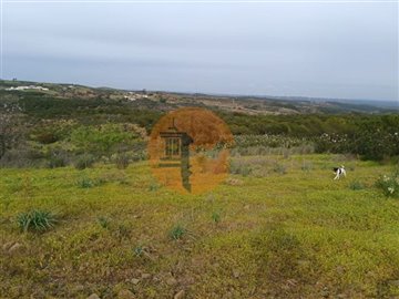 idb2956701-0000-0500-0000-0000110676c6