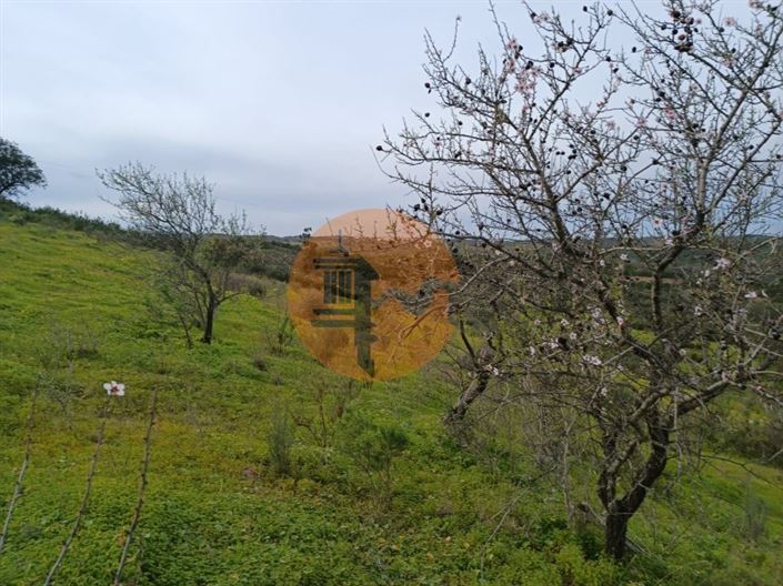 Image No.20-Terrain à vendre à Castro Marim