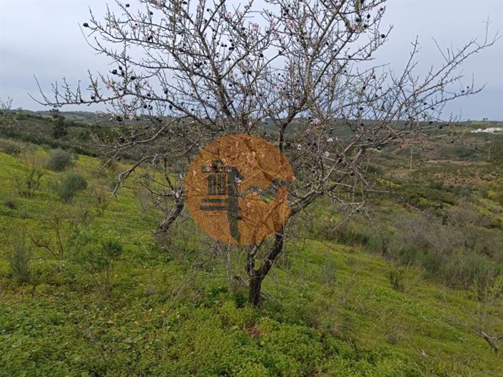Image No.24-Terrain à vendre à Castro Marim