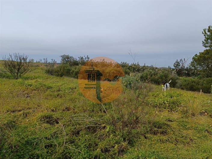 Image No.41-Terrain à vendre à Castro Marim
