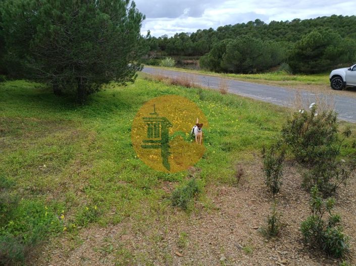 Image No.10-Terrain à vendre à Castro Marim