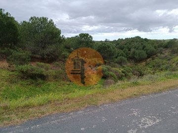 id2d956701-0000-0500-0000-000010fe1cc4