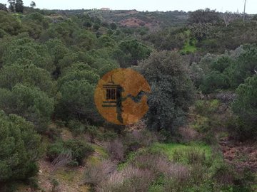 id2d956701-0000-0500-0000-000010fe1cc5