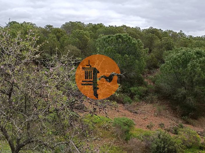 Image No.19-Terrain à vendre à Castro Marim