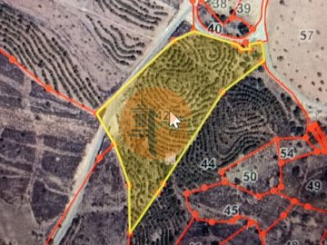 id2d956701-0000-0500-0000-000010f9f014