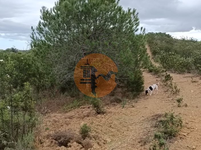 Image No.21-Terrain à vendre à Castro Marim