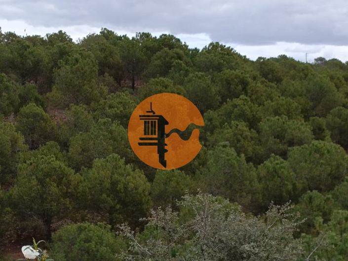 Image No.25-Terrain à vendre à Castro Marim