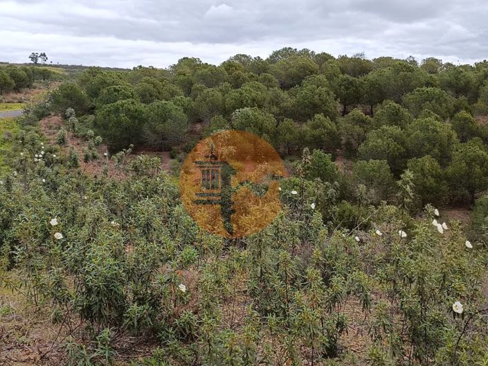 Image No.26-Terrain à vendre à Castro Marim